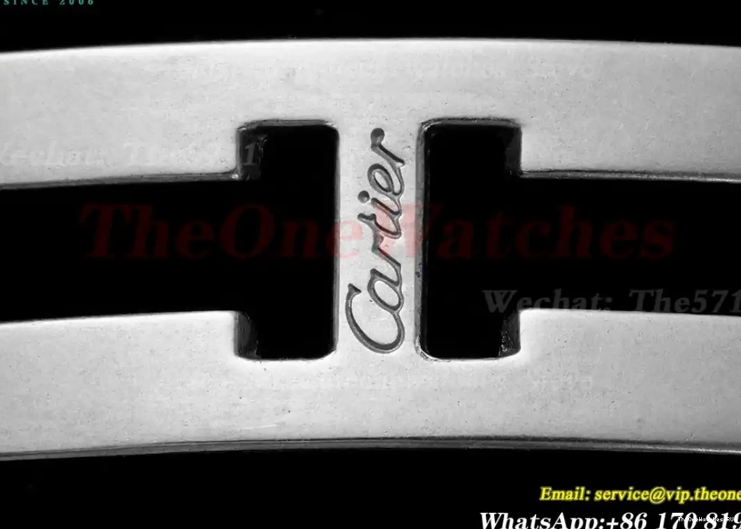 Ladies RG Dia De White Panthere Quartz SS 22mm AF Small Secrete 0330